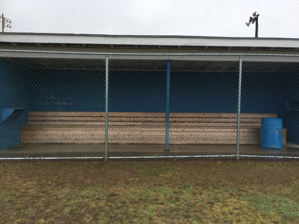 Project Dugout