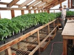 Katahdin Area Communal Gardens at the Rice Farm